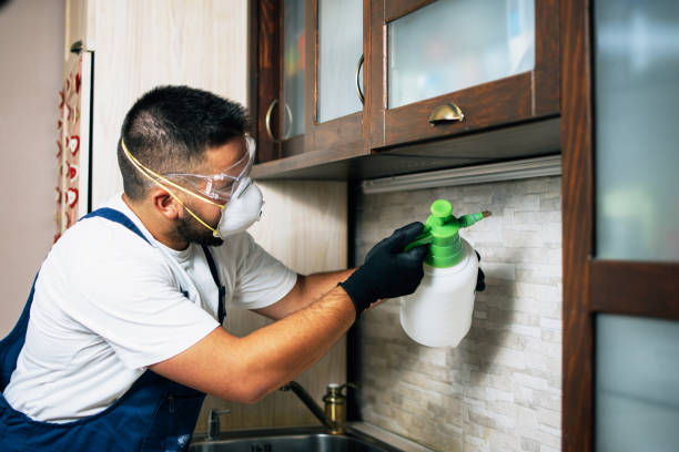 Best Pest Control for Homes  in Guthrie, OK