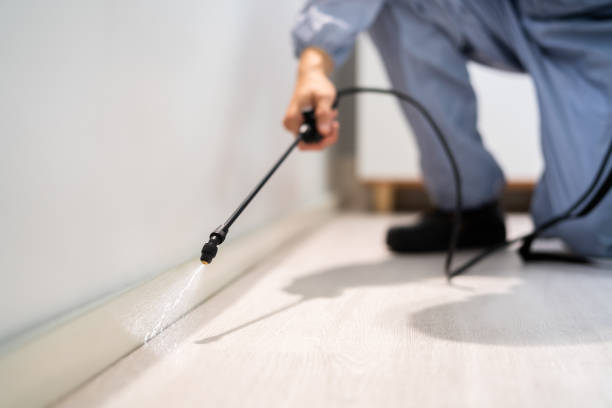 Best Flea Control Services  in Guthrie, OK