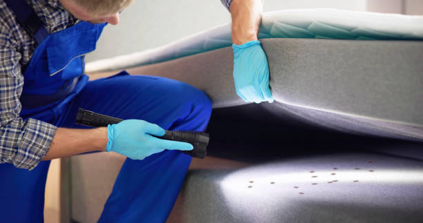 Best Local Pest Control Services  in Guthrie, OK