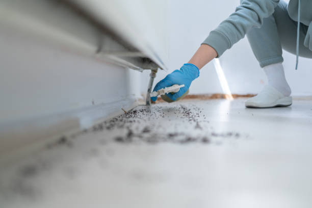 Best Pest Control for Businesses  in Guthrie, OK